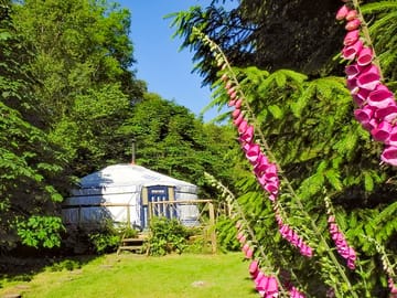View of the lake yurt