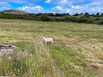 Local view in low season