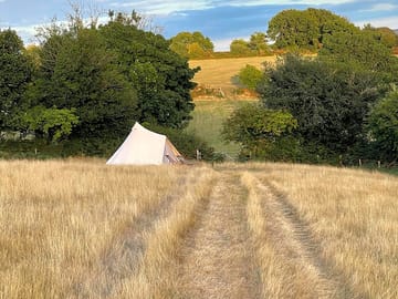 Acres of space around each tent