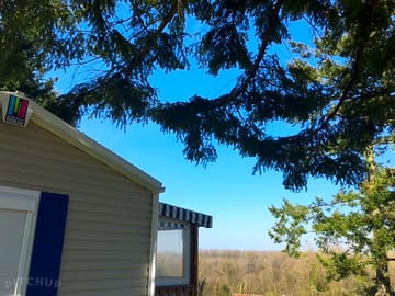Sunny day at the site