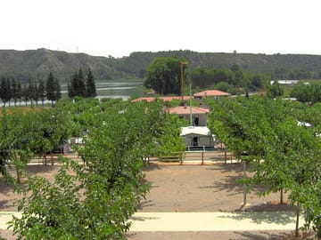 Camping area