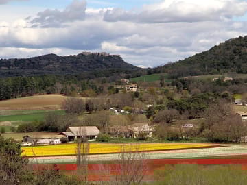 Colourful rural surroundings