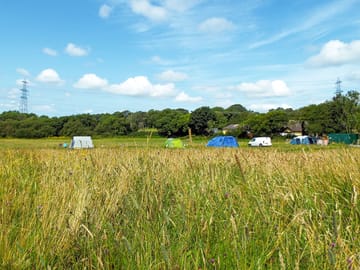 Pitches on site