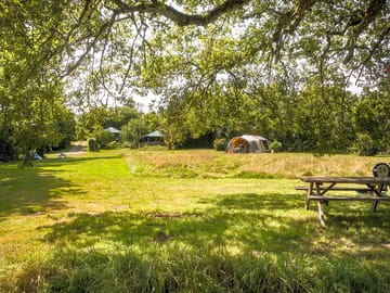Plenty of space, with picnic benches for your meals