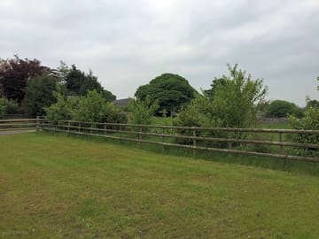 Green pitches