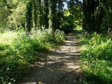 Direct private access to a lovely woodland walk