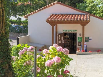 Site reception