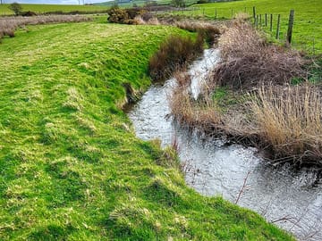 The stream