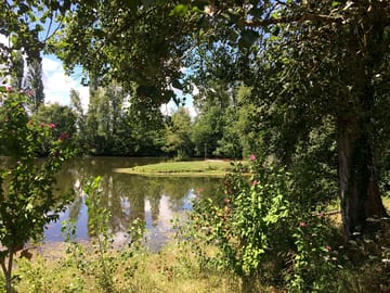 The lake and greenery