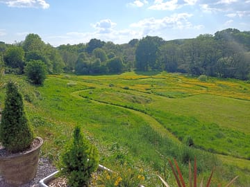 Lovely mowed paths in the bottom field