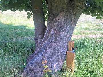 Water tap, just outside the van