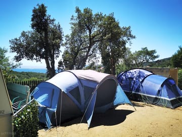Highest point of the campsite on 100m atlitude