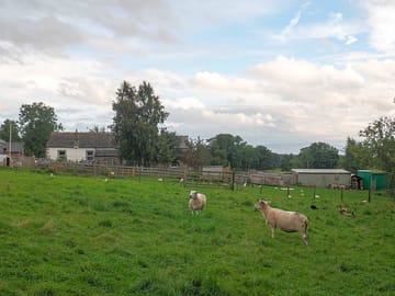 The old chapel seen from the field