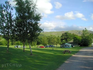 Family field