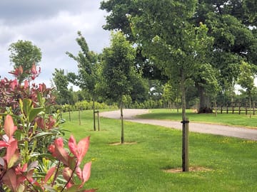Simmons farm estate