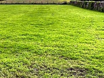 Grass pitches