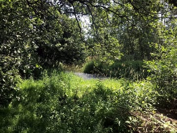Shady pitch with a river view