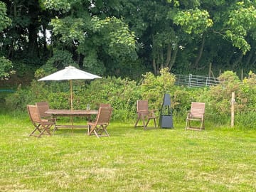 Swallows outside area