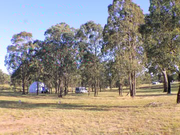 Paddock with grass