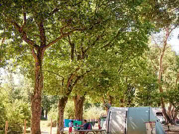 Shady camping pitches