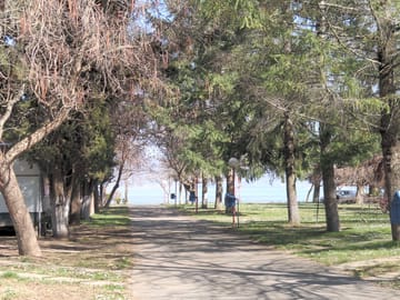 Shaded by trees