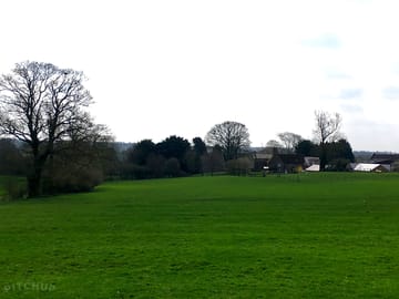 Grassy pitches