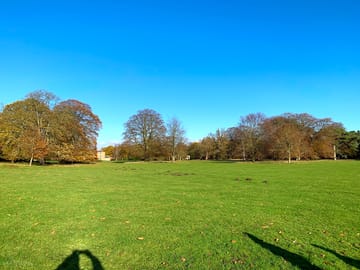 Scampston hall field