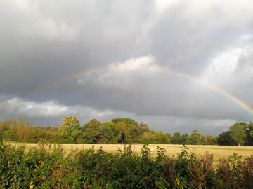 Rainbow