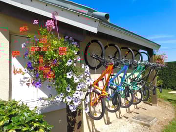 Mountain bike rentals