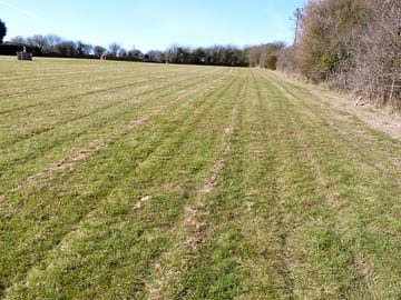 Looking up across the site