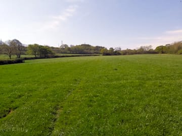 Lovely fields
