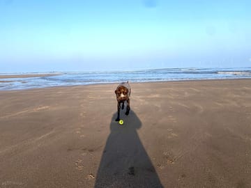 Dave and his ball