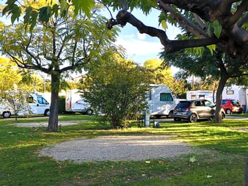 Pitches with trees for shade