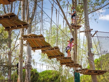 Tree climbing