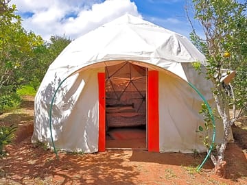 Dome exterior