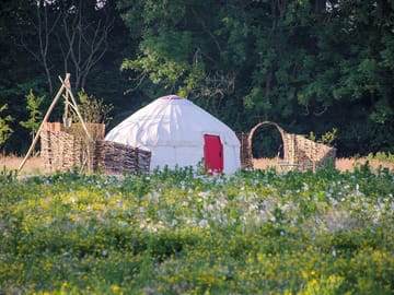 Knepp wildland safaris and camping