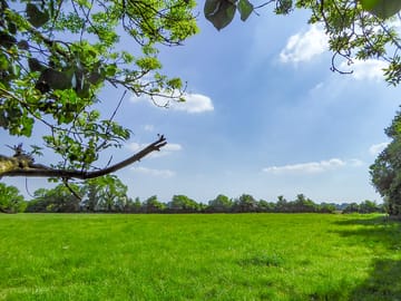 Space to relax in the five-acre meadow