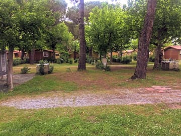 pitch for tent