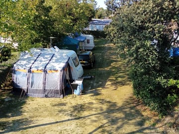 Spacious and shady pitches