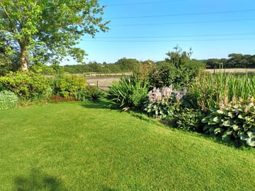 A view from the garden
