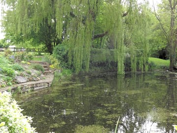 The pond at "goldings".