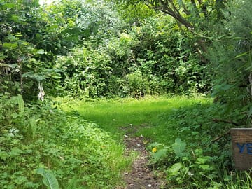 Secluded camping