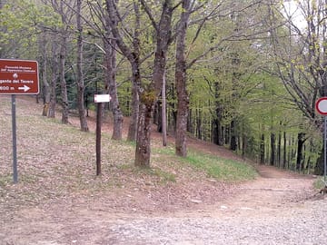Walks around the site