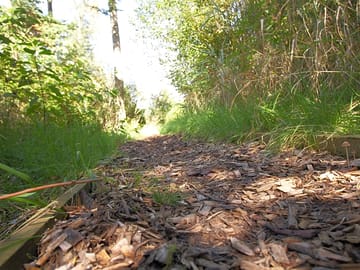 Lovely walks around the site