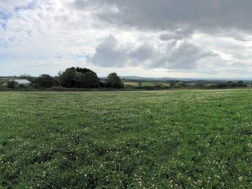 On the farm
