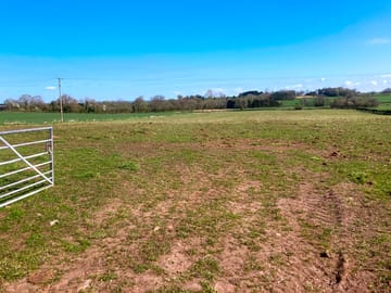 Entrance to the meadow
