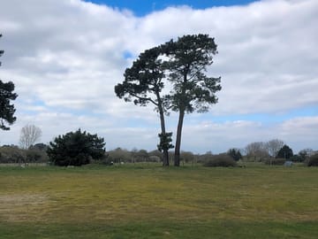 Pitches behind the pub