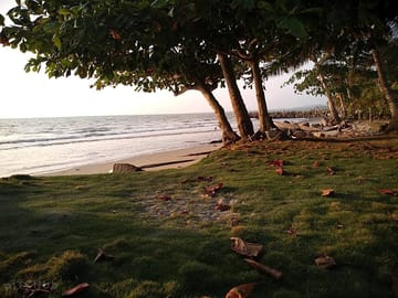 Access to the beach
