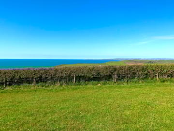 View from the field