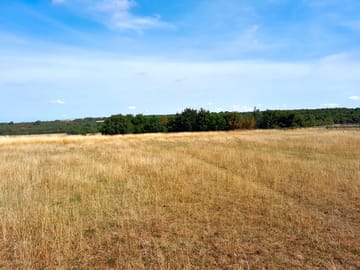 Spacious field